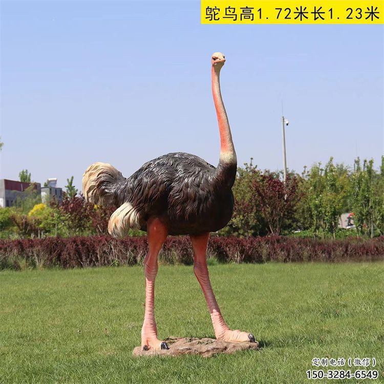 玻璃鋼仿真鴕鳥雕塑廠家，公園廣場動物，大型園林小品