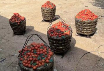 商業(yè)街荔枝雕塑 烤漆擺件 彩繪雕塑