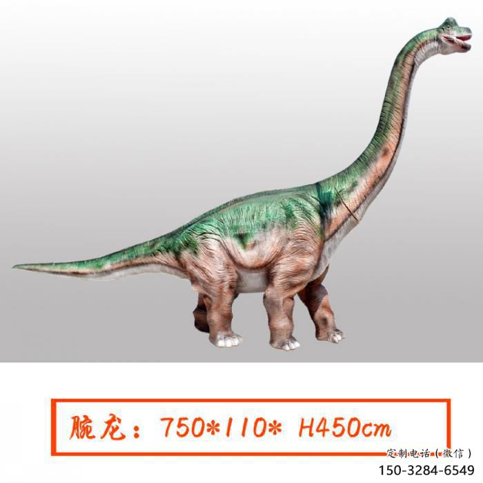 腕龍雕塑預(yù)定,小區(qū)擺件,發(fā)聲恐龍雕塑主題精品 腕龍雕塑預(yù)定,小區(qū)擺件,發(fā)聲恐龍雕塑主題精品